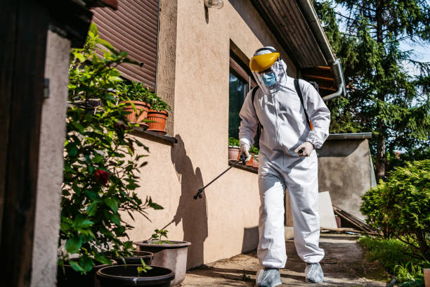 Best Pest Prevention Services  in Urbancrest, OH