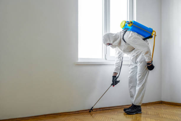 Best Pest Control Near Me in Urbancrest, OH