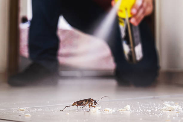 Best Insect Control  in Urbancrest, OH